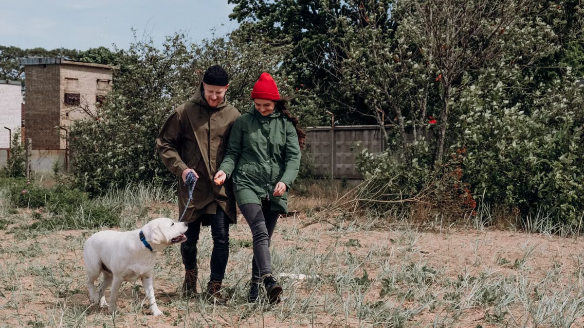 Man and woman enjoying a walk with their dog in a grassy field, wearing winter clothing.